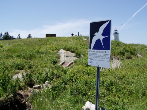 Franklin Island seabird sign