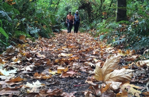 Visitors Hike the Primitive Trail