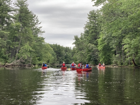 Group of 5 red canoes boating down the Nashua River