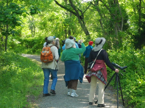 group of hikers with spotting scope
