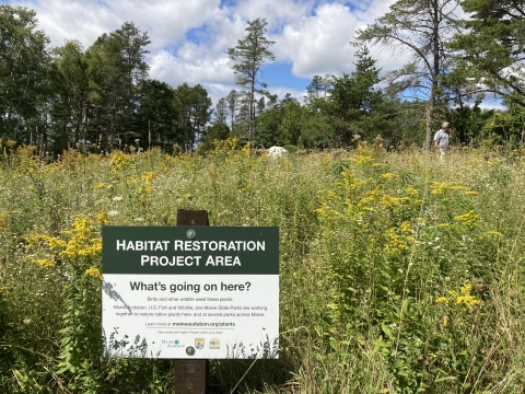 pollinator garden with habitat restoration sign