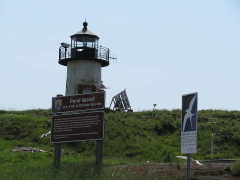 Pond Island lighthouse and signs