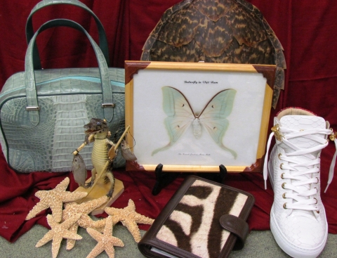 Loan items