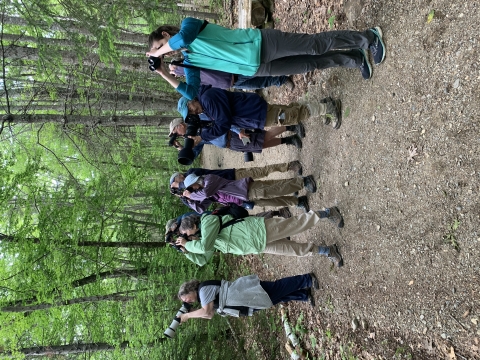 Bird walk