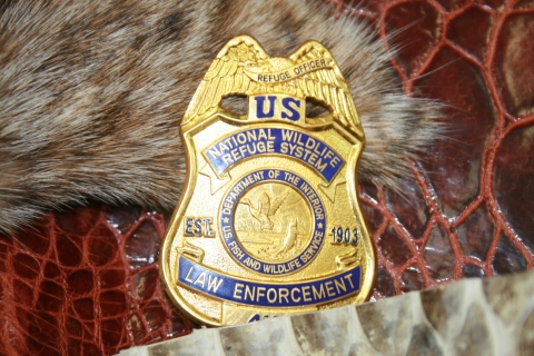 A Law Enforcement badge laying among wildlife skins.