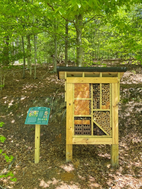 Pollinator Lodge
