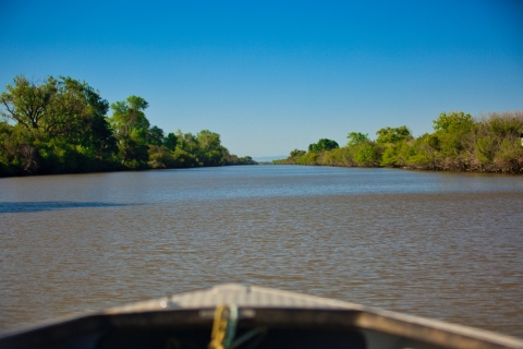 A boat goes down a river with land on both sides