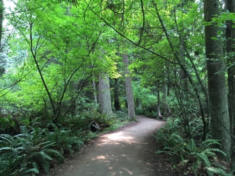 Dungeness NWR Main Trail