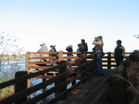 A group of people standing on a viewing deck over a wetland.