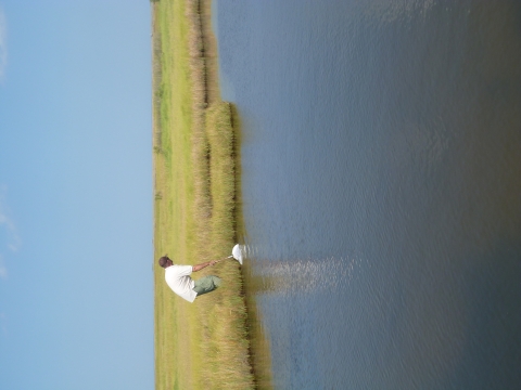 Staff taking net into marsh