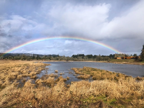 Rainbow over wetland filled with water and plants, brown building in distance