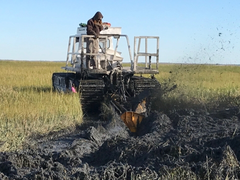 An amphibious vehicle called a marsh master--a kind of open buggy with tank-like treads--cuts through a salt marsh digging out a runnel, which looks something like a curving canal. 