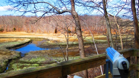 A viewing platform with spotting scope overlooks the Salt Meadow Unit's marsh in fall, Westbrook