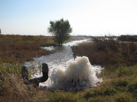 Water gushing into a wetland.