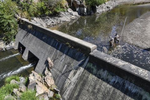 Two men in stand in knee-deep water behind a dam