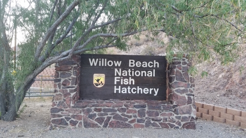 Willow Beach National Fish Hatchery Sign in AZ