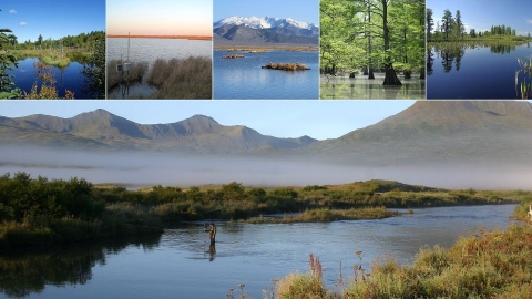 A collage of various bodies of water around the National Wildlife Refuge System
