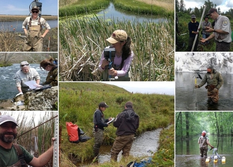 A collage showing U.S. Fish and Wildlife Service water specialists at work in the field