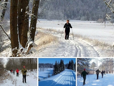 A collage of people cross-country skiing in forested refuge settings