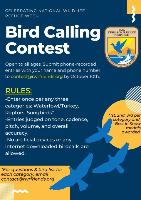 bird calling flyer contest