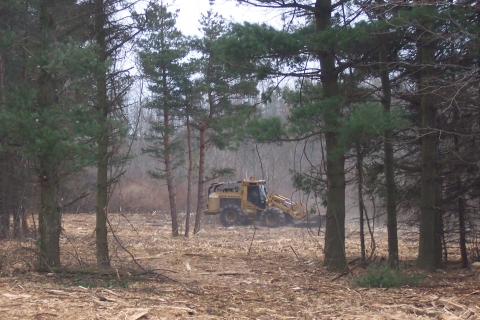 Hydro Axe, a special machine with a large mower deck in front, clearing brush to maintain habitat