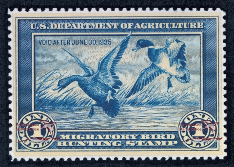 Duck Stamp with two Mallards landing in the water