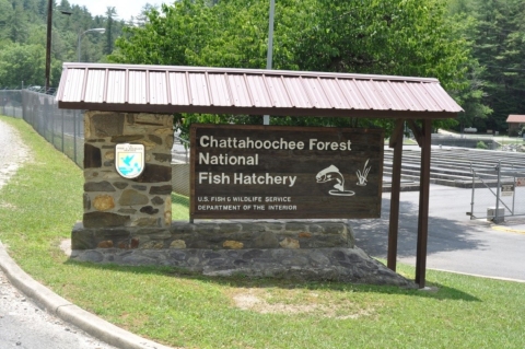 Entrance to Chattahoochee Forest National Fish Hatchery