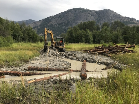 An excavator machine reconstructs a stream channel by digging up gravel. A pile of logs is nearby, and some of the logs have been placed in the stream to partially block and slow water flow. The work is in an open grassy meadow, with a band of forest behind and a view of a low mountain partly forested.