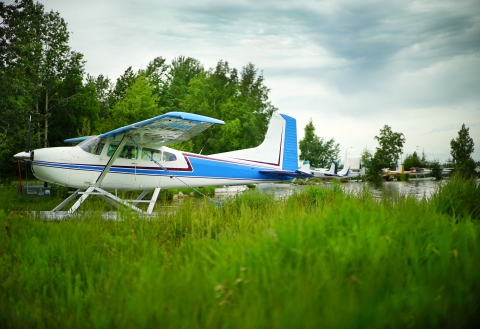 float plane on a lake surrounded by tall grasses and other floatplanes