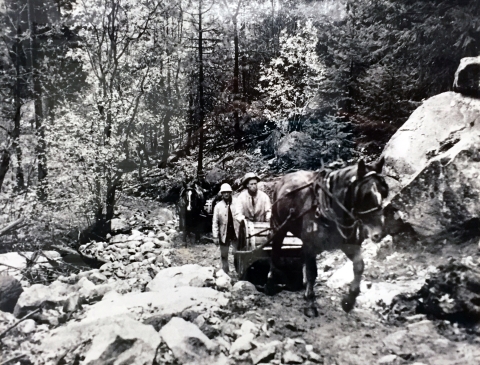 Black and white photo of 3 men and 2 horses, each horse dragging what appears to be a barrel-like cart up a rough, muddy, newly-built trail in a wooded, rocky area.