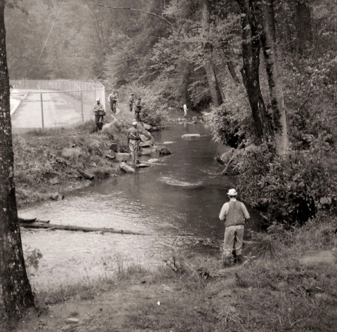 Historic Fishing Rock Creek in Chattahoochee Forest National Fish Hatchery