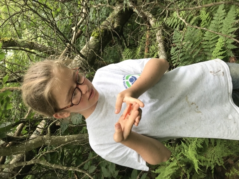YCC member holding a salamander