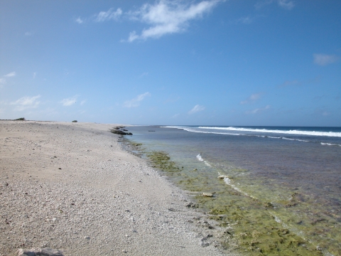 The ocean sits along the shore of Howland Island. Blue skies rest above a rocky sand beach.