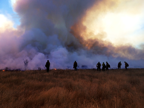 Silhouettes of firefighters in front of a large smoke plume on a controlled prairie fire