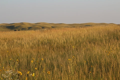 The Sandhills of Nebraska
