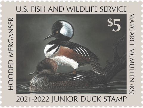 Junior Duck Stamp 2021-2022