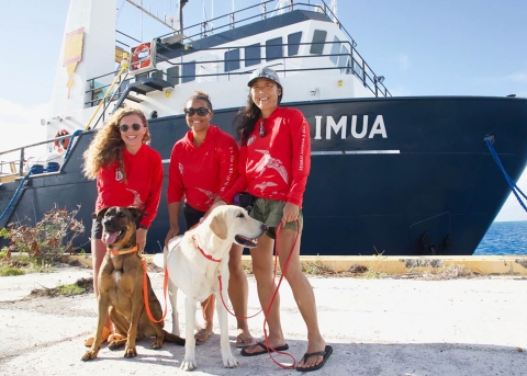 Volunteers wearing read sun shirts for the Yellow Crazy Ant Strike Team stand with the detection dogs in front of the Imua, a flat bottom construction boat.
