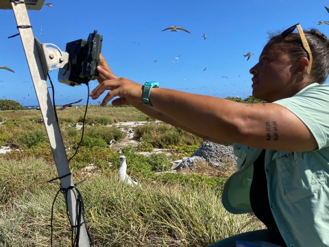 Aisha Rickli-Rahman fixes a wildlife camera. A young booby looks at her in the background. Dry grass surrounds them. 