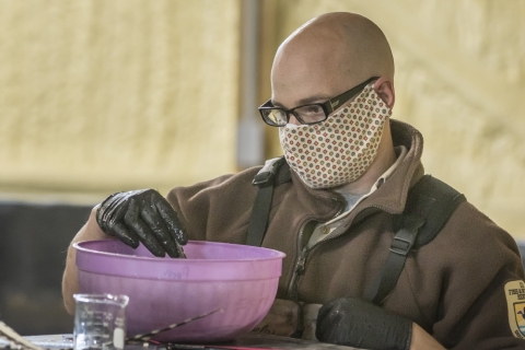 A biologist stirs a mixture of pallid sturgeon eggs and milt during the fertilization process while wearing a mask to prevent the spread of COVID-19 in April 2020