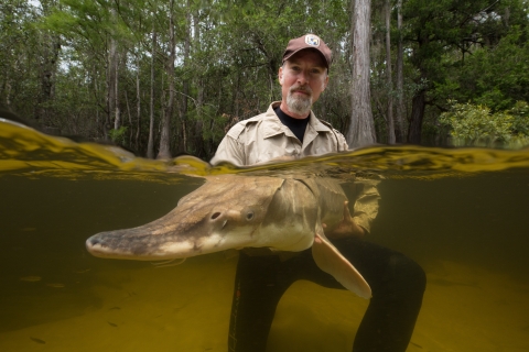 Adam Kaeser holding a Gulf sturgeon