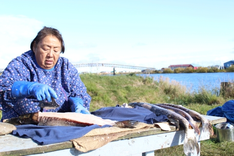 An Iñupiaq woman fillets a northern pike along the Selawik River at Selawik Refuge in Alaska.