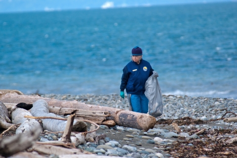 A Refuge Volunteer Removes Marine Debris from a Refuge Beach