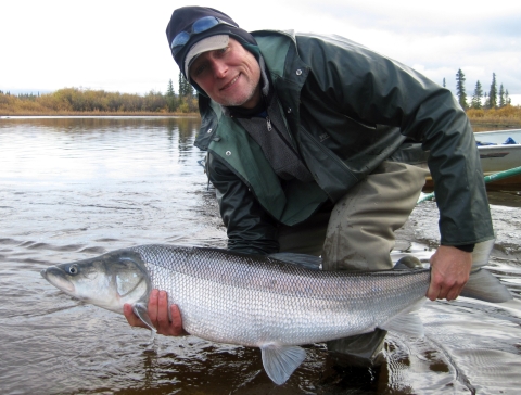 A biologist holds a gray colored fish caught on a River 