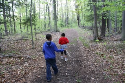 Two kids hiking on a trail lined with trees