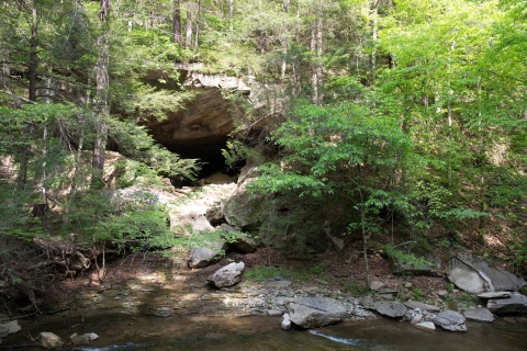 Cave opening surrounded by forest, all beside a stream
