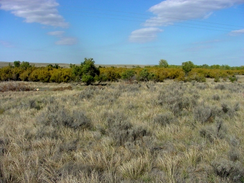 Dry creek bed at Optima National Wildlife Refuge