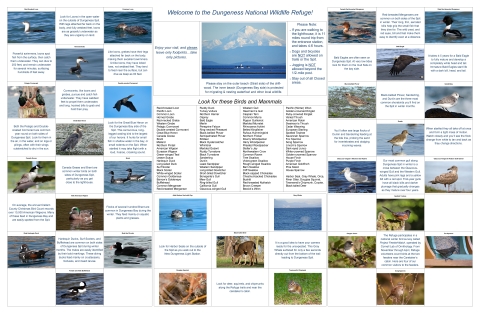 Display Featuring Images of Fall Refuge Wildlife