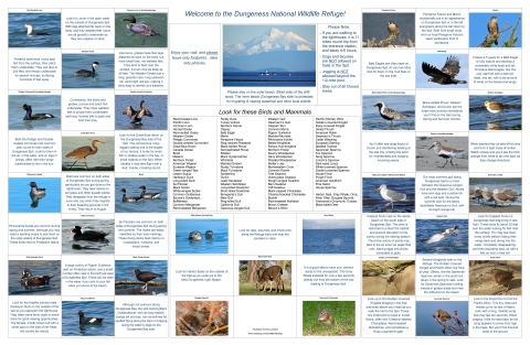 Display Featuring Images of Spring Refuge Wildlife