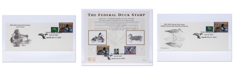 Duck Stamp Commemorative