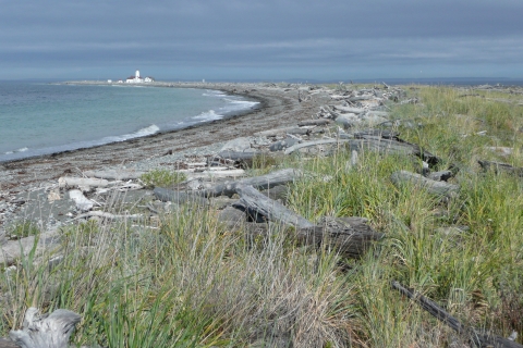 A View of the Dungeness Spit and Lighthouse
